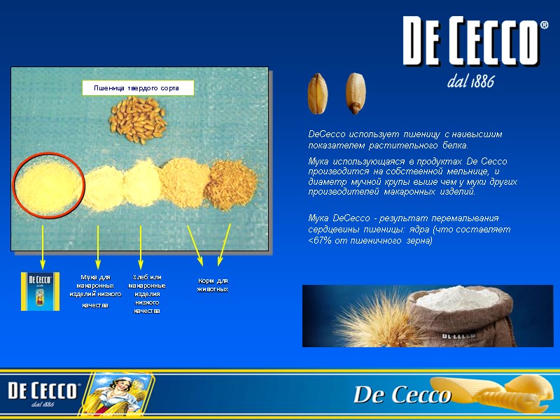 DeCecco использует пшеницу с наивысшим показателем растительного белка. Мука использующаяся в продуктах De Cecco